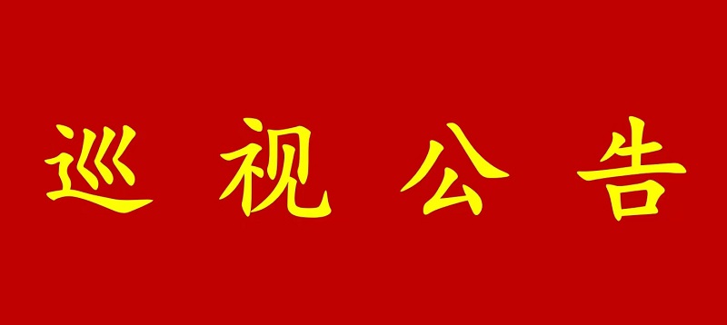 巡 视 公 告